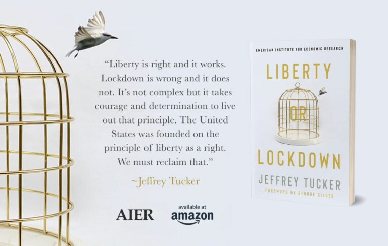 Never lockdowns, Never again: Introduction to the Portuguese/Brazilian Edition of Liberty or Lockdown